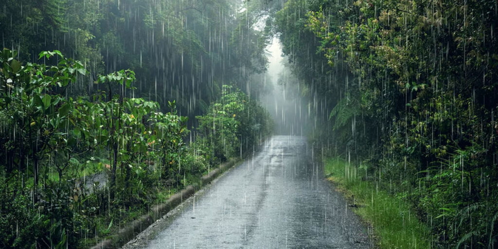 Quais os impactos das mudanças climáticas em São Paulo? 1 São Paulo